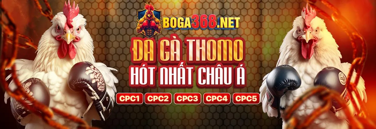 Hình ảnh tổng hợp các loại game slot đa dạng tại tv88